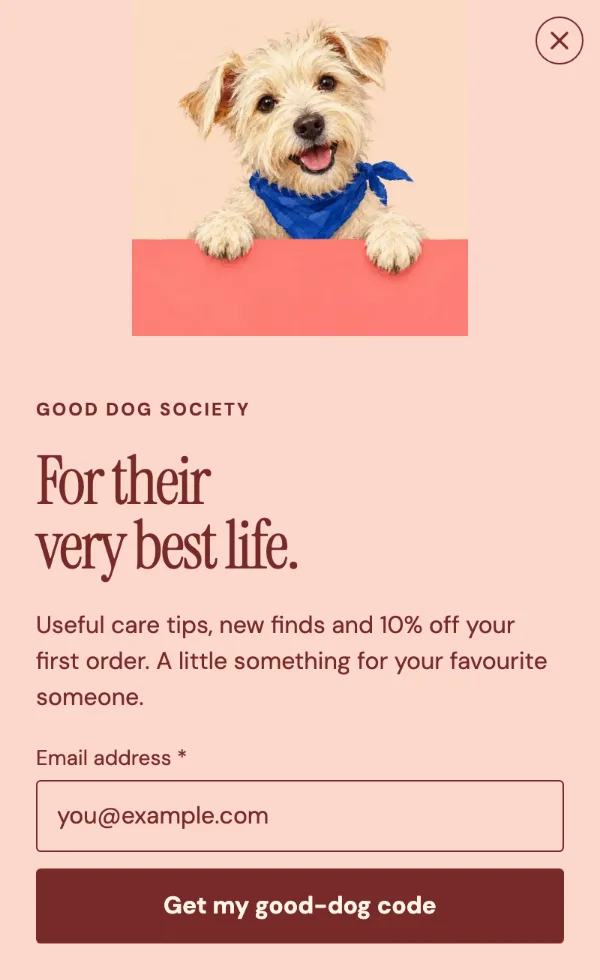 Good dog society — Details. Sample design content.