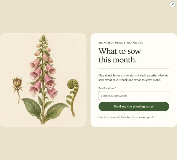 Field guide — Details. Sample design content.